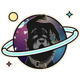 Bone Orbit design