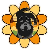 Groovy Bumba design