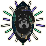Revontuli design