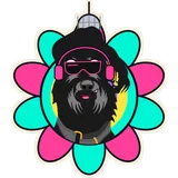 Ibiza Final Woof