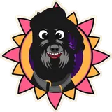 Nebula Grin