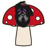 Shroom Guardian