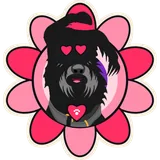 Sofia in my Heart